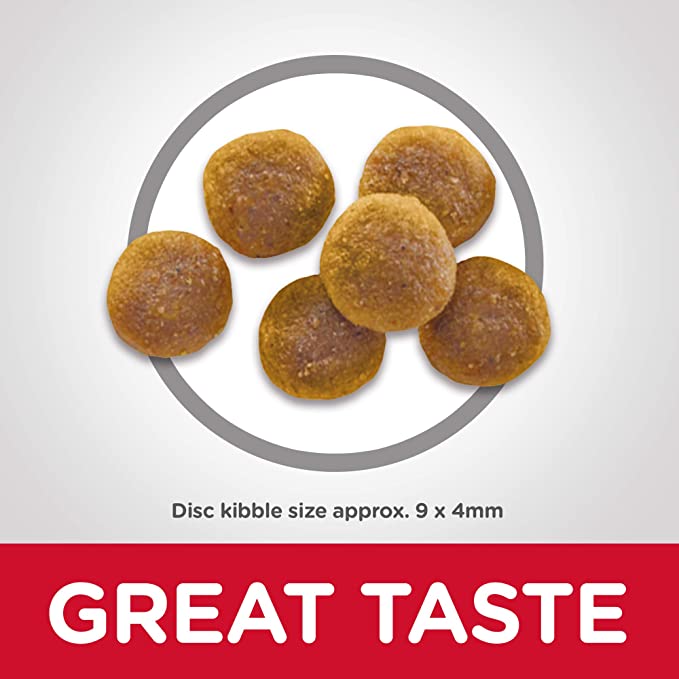 Dry Cat Food