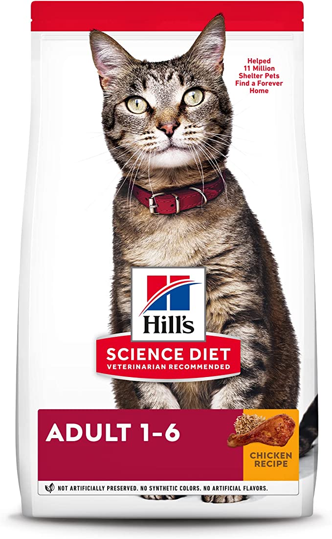 Dry Cat Food